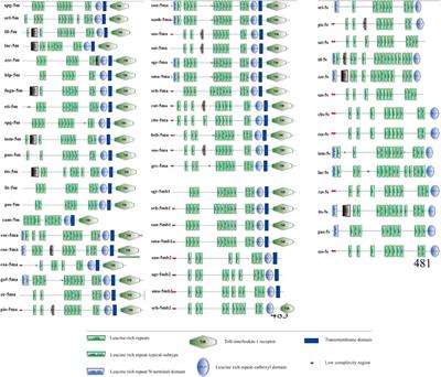 Genome-wide identification and characterization of toll-like receptor 5 (TLR5) in fishes